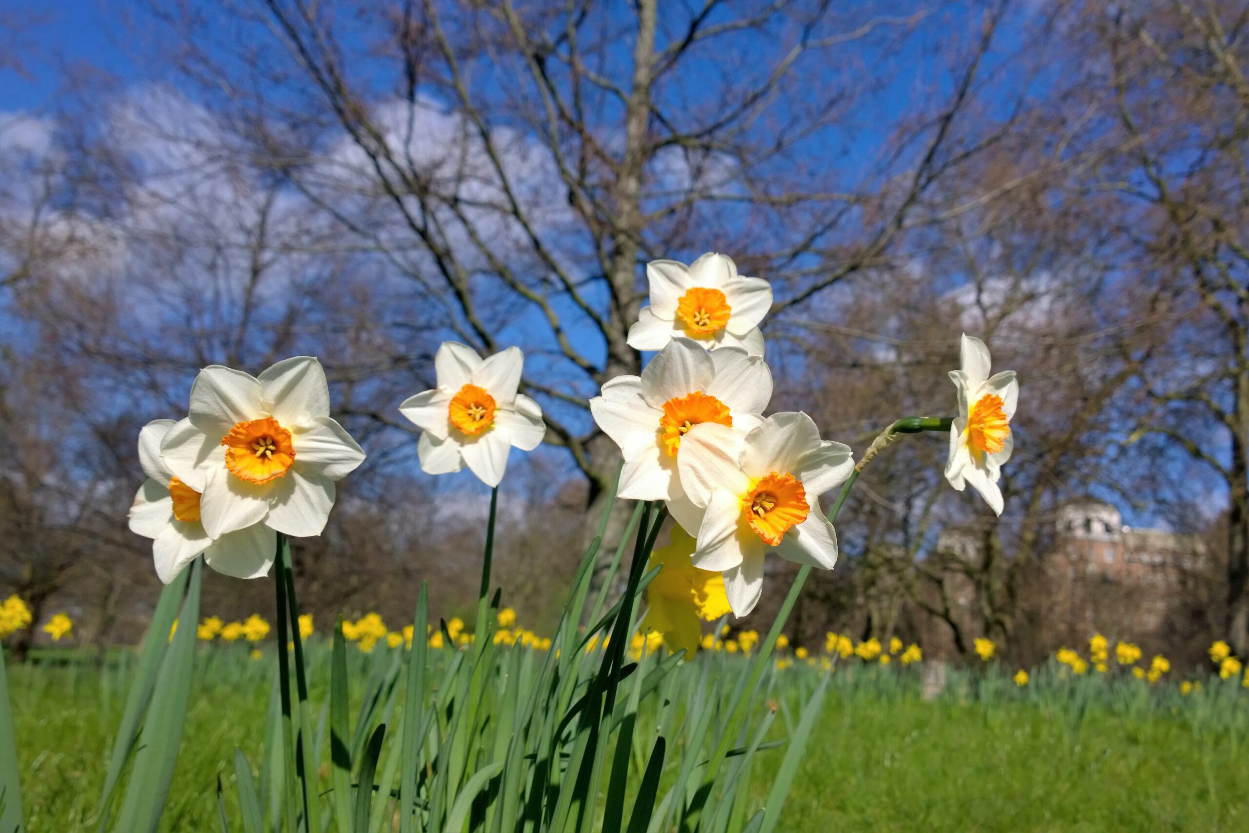 Improve core strength to reduce back pain this Spring